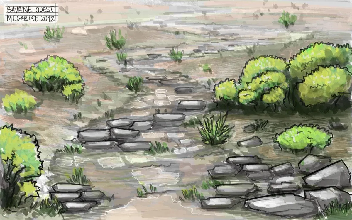 Dalles de pierre et touffes de végétation, étude de terrain